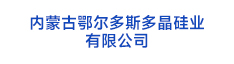 11內蒙古鄂爾多斯多晶硅業 有限公司